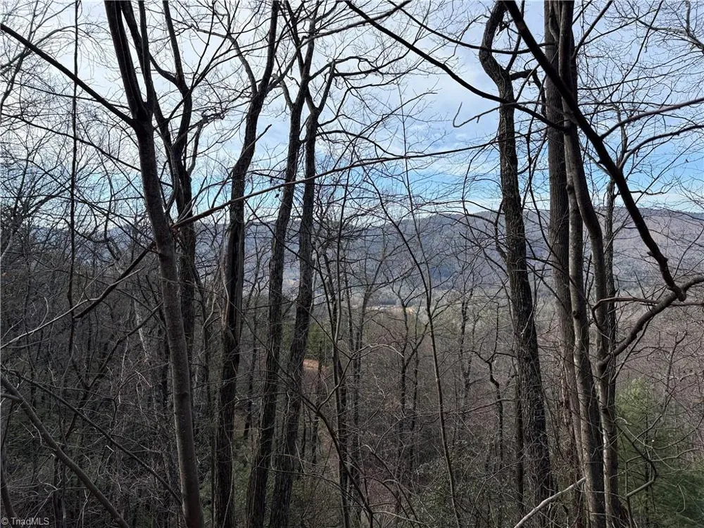 Lots 207 & 220 Maple Valley Lane Purlear, NC 28665
