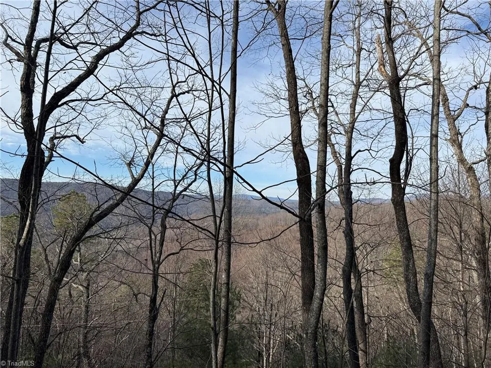Lots 207 & 220 Maple Valley Lane Purlear, NC 28665