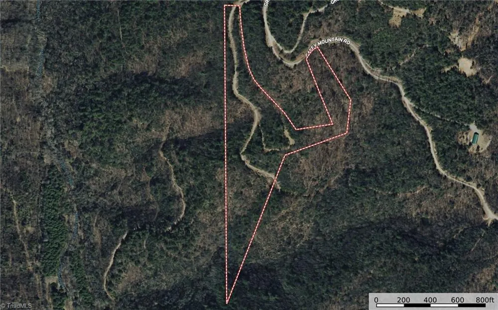Lots 207 & 220 Maple Valley Lane Purlear, NC 28665