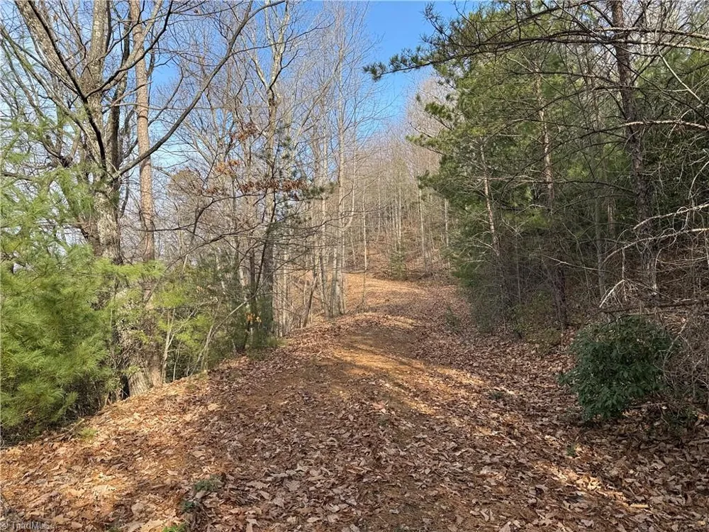 Lots 207 & 220 Maple Valley Lane Purlear, NC 28665
