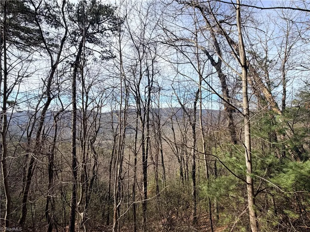 Lots 207 & 220 Maple Valley Lane Purlear, NC 28665