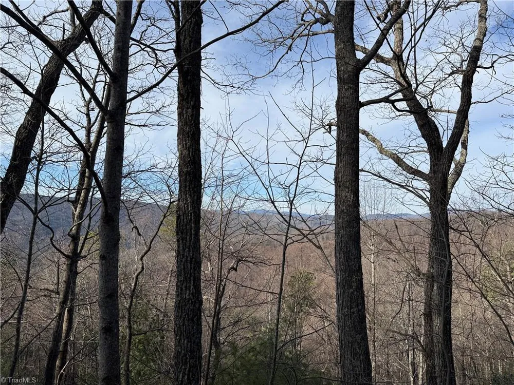 Lots 207 & 220 Maple Valley Lane Purlear, NC 28665
