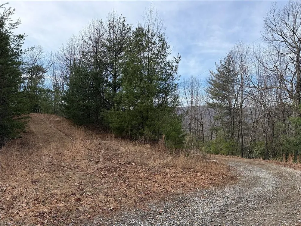 Lots 207 & 220 Maple Valley Lane Purlear, NC 28665