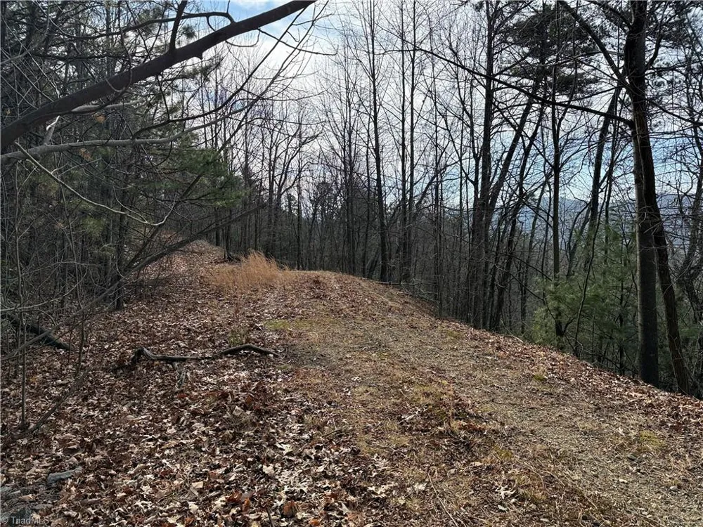 Lots 207 & 220 Maple Valley Lane Purlear, NC 28665