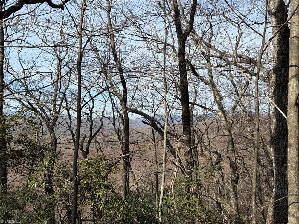 Lots 207 & 220 Maple Valley Lane Purlear, NC 28665