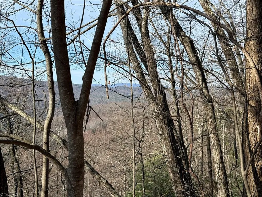 Lots 207 & 220 Maple Valley Lane Purlear, NC 28665