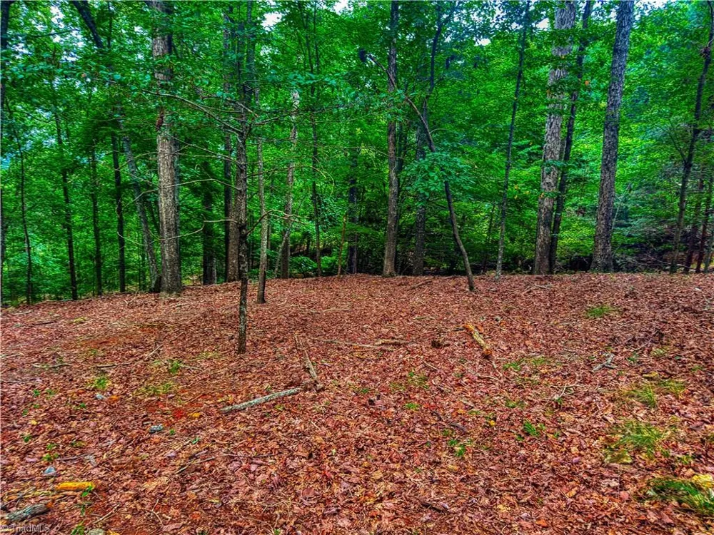 1996 Sierra Trace Road Denton, NC 27239