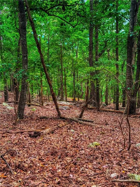 1996 Sierra Trace Road Denton, NC 27239