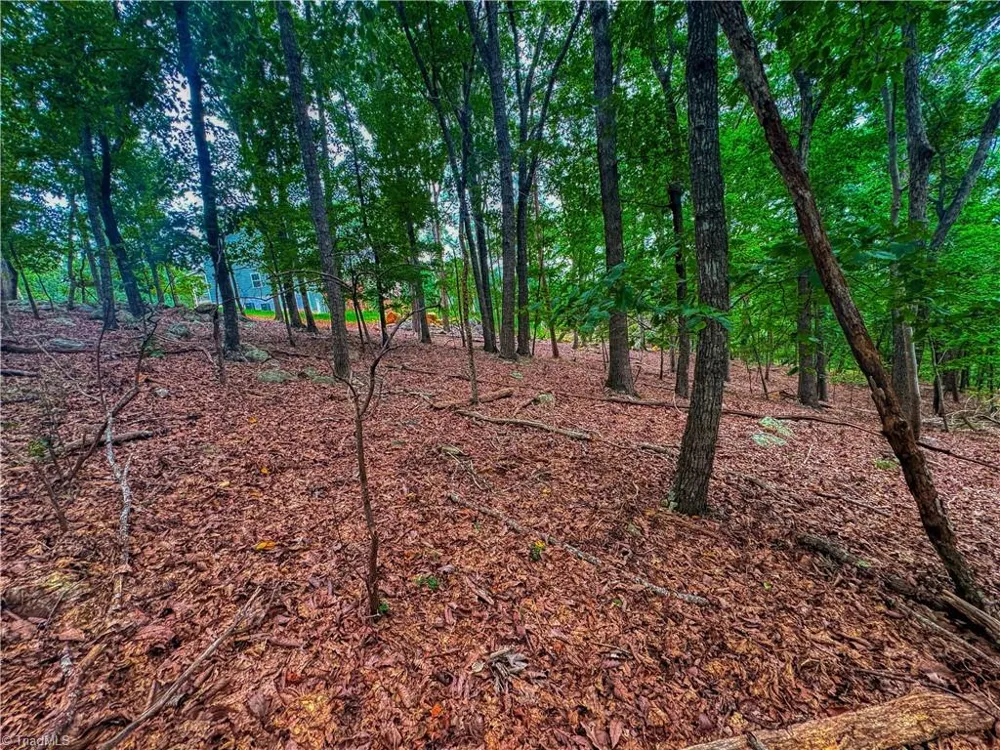 1996 Sierra Trace Road Denton, NC 27239