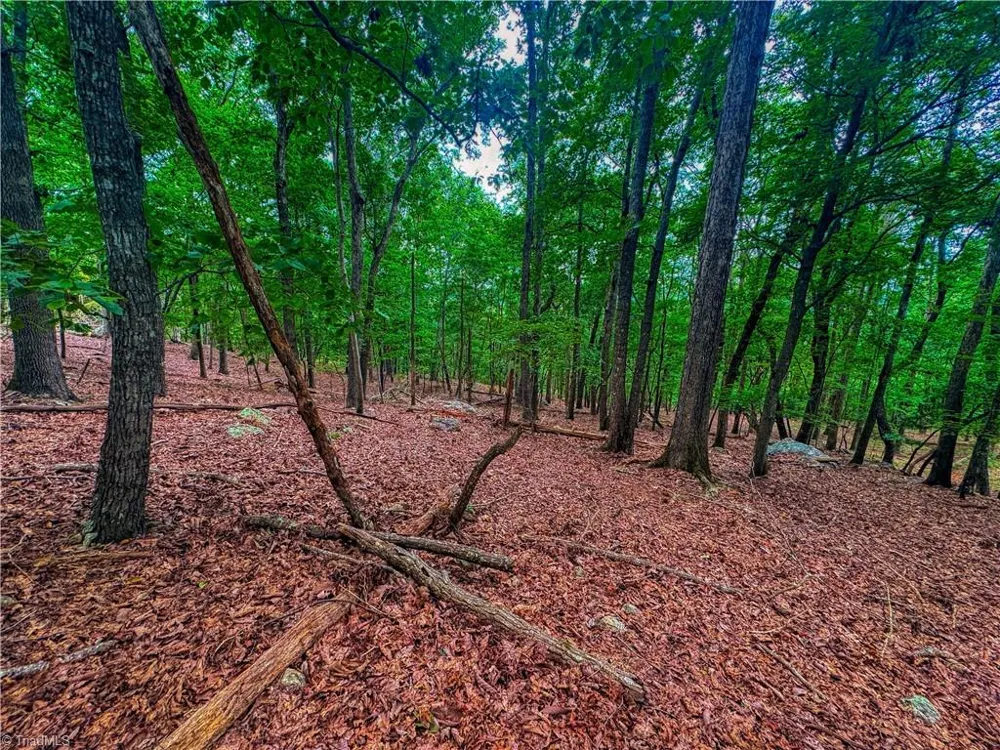 1996 Sierra Trace Road Denton, NC 27239