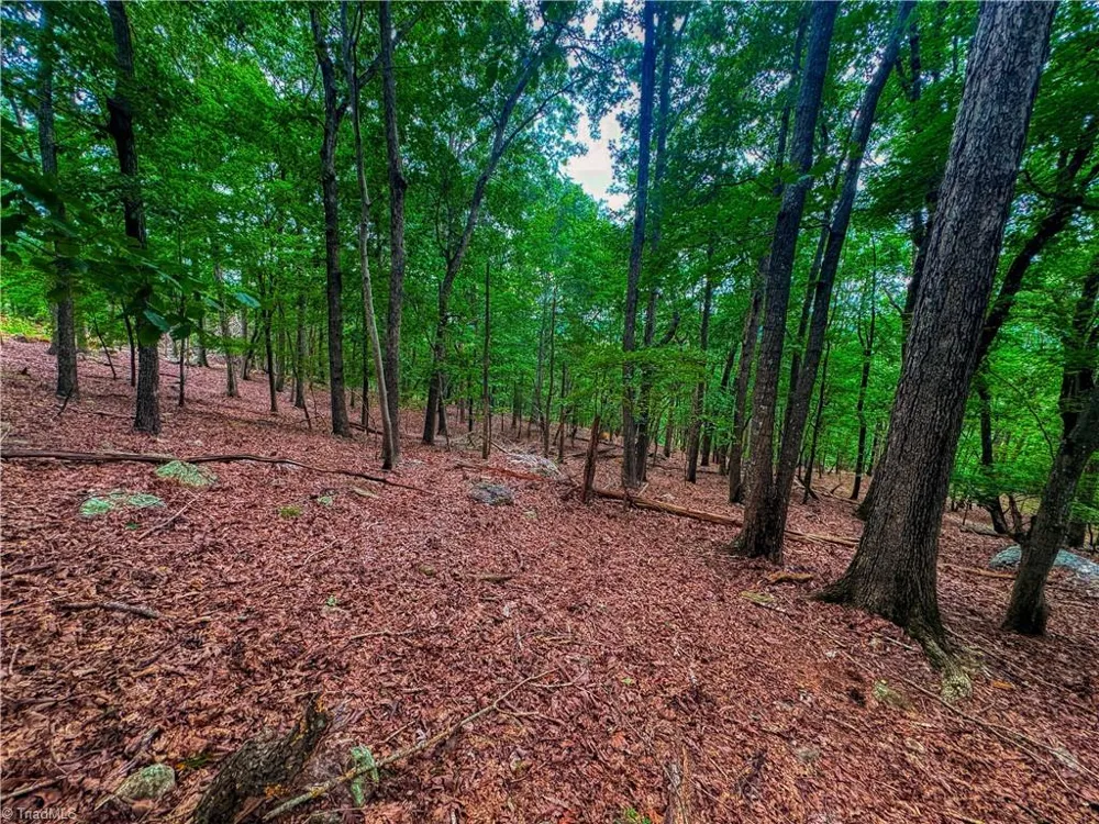 1996 Sierra Trace Road Denton, NC 27239