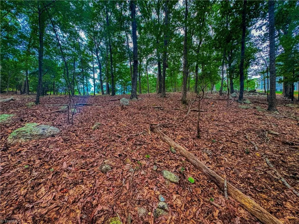 1996 Sierra Trace Road Denton, NC 27239