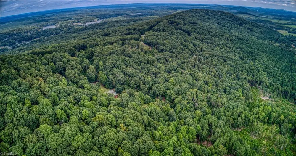 1996 Sierra Trace Road Denton, NC 27239