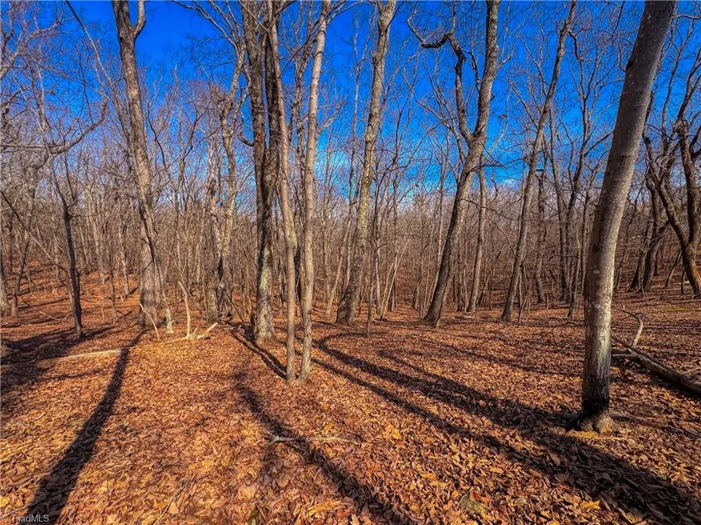 863 Sierra Trace Road Denton, NC 27239
