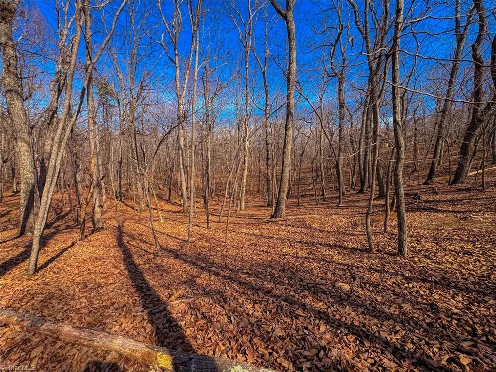 863 Sierra Trace Road Denton, NC 27239