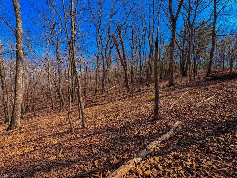 863 Sierra Trace Road Denton, NC 27239