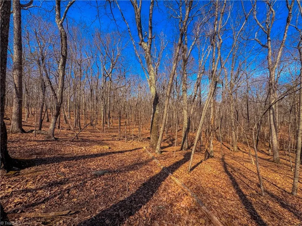 863 Sierra Trace Road Denton, NC 27239
