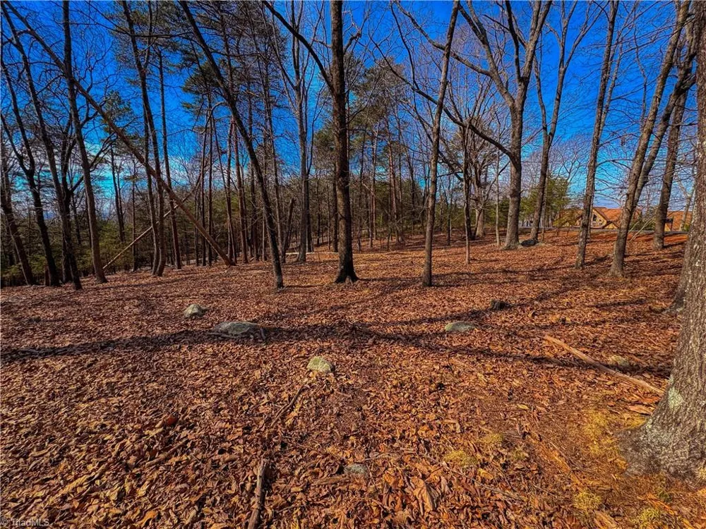 863 Sierra Trace Road Denton, NC 27239