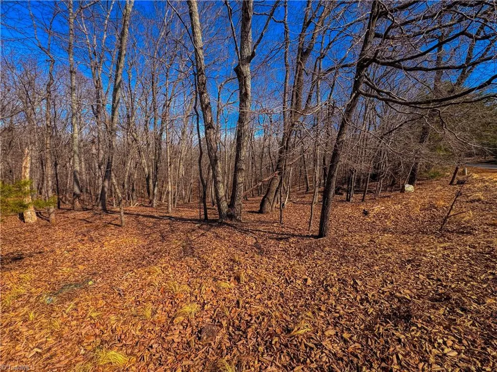 863 Sierra Trace Road Denton, NC 27239