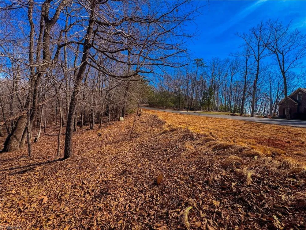 863 Sierra Trace Road Denton, NC 27239