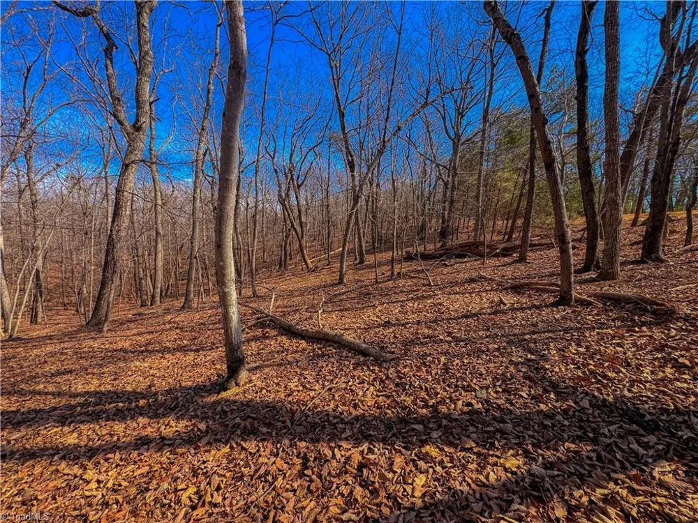 863 Sierra Trace Road Denton, NC 27239