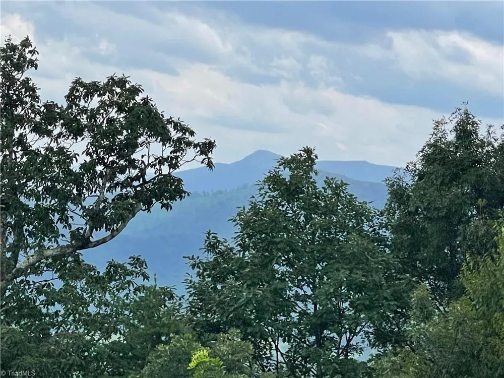 430 reflections point Trail Fancy Gap, VA 24328