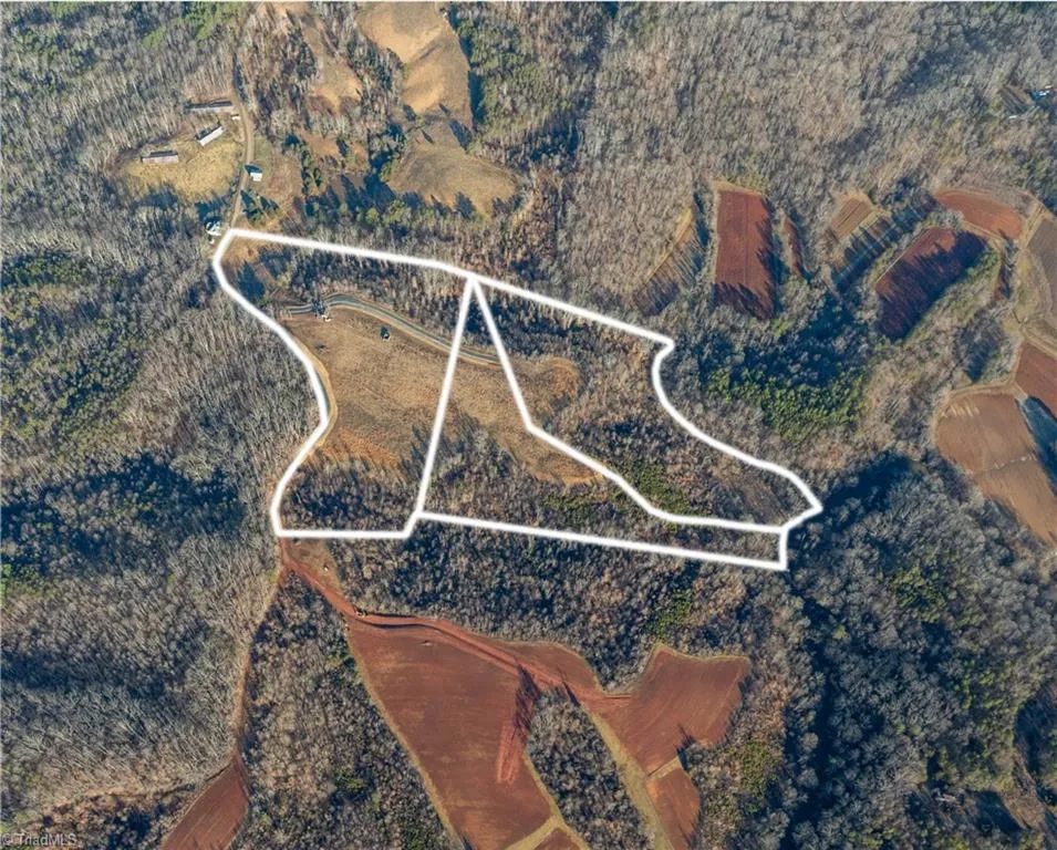 3 Roby Fulk Road Pinnacle, NC 27043