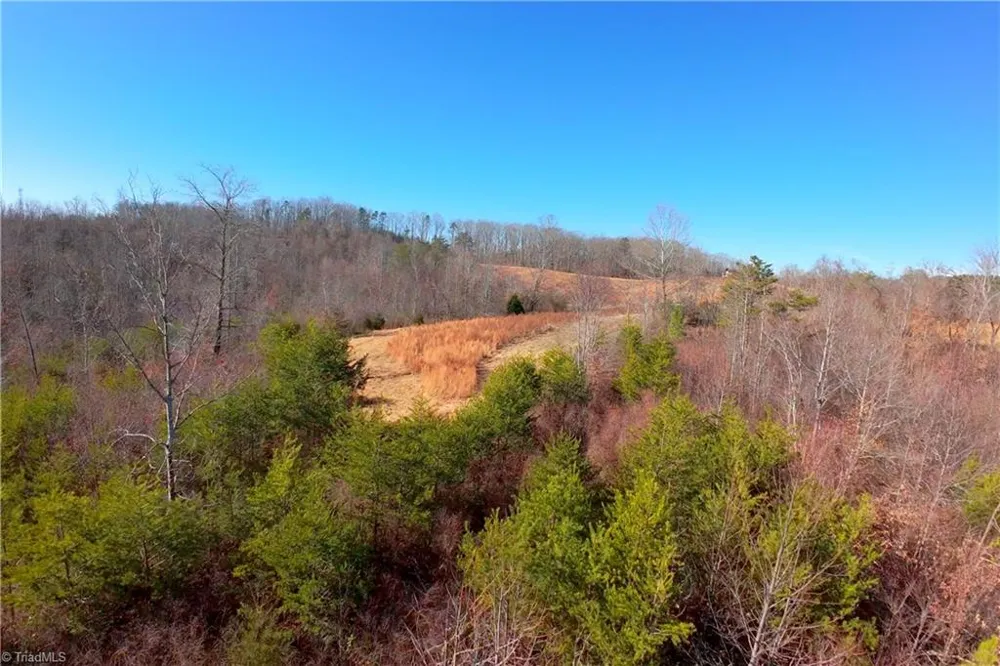 3 Roby Fulk Road Pinnacle, NC 27043