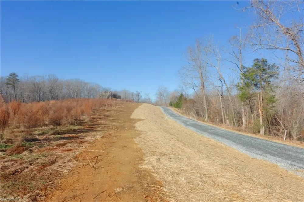 3 Roby Fulk Road Pinnacle, NC 27043