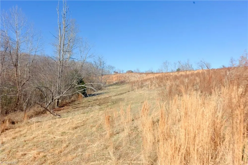 3 Roby Fulk Road Pinnacle, NC 27043