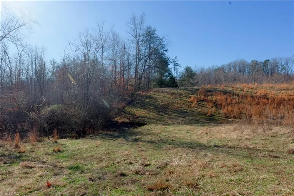 3 Roby Fulk Road Pinnacle, NC 27043