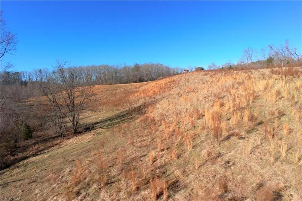 3 Roby Fulk Road Pinnacle, NC 27043