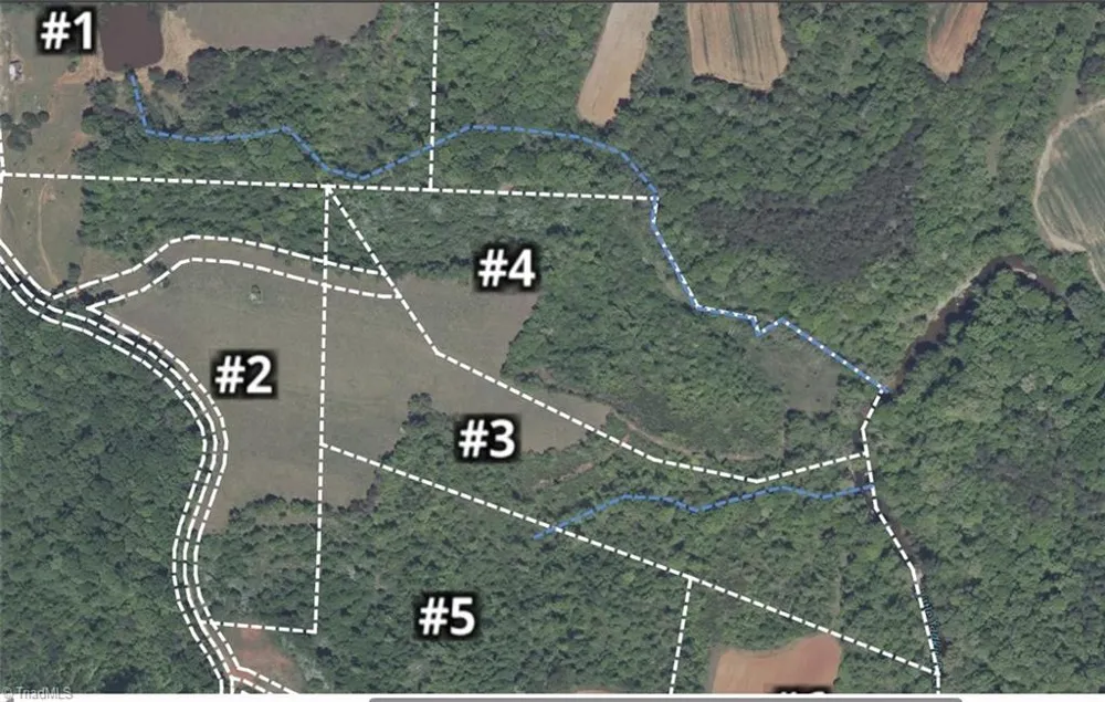 3 Roby Fulk Road Pinnacle, NC 27043