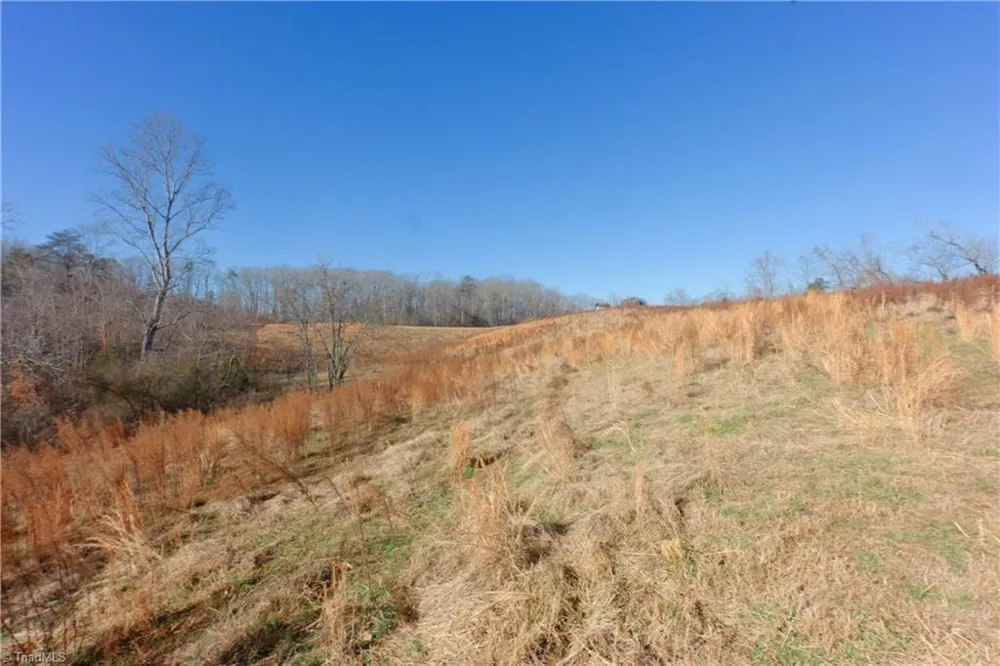 3 Roby Fulk Road Pinnacle, NC 27043