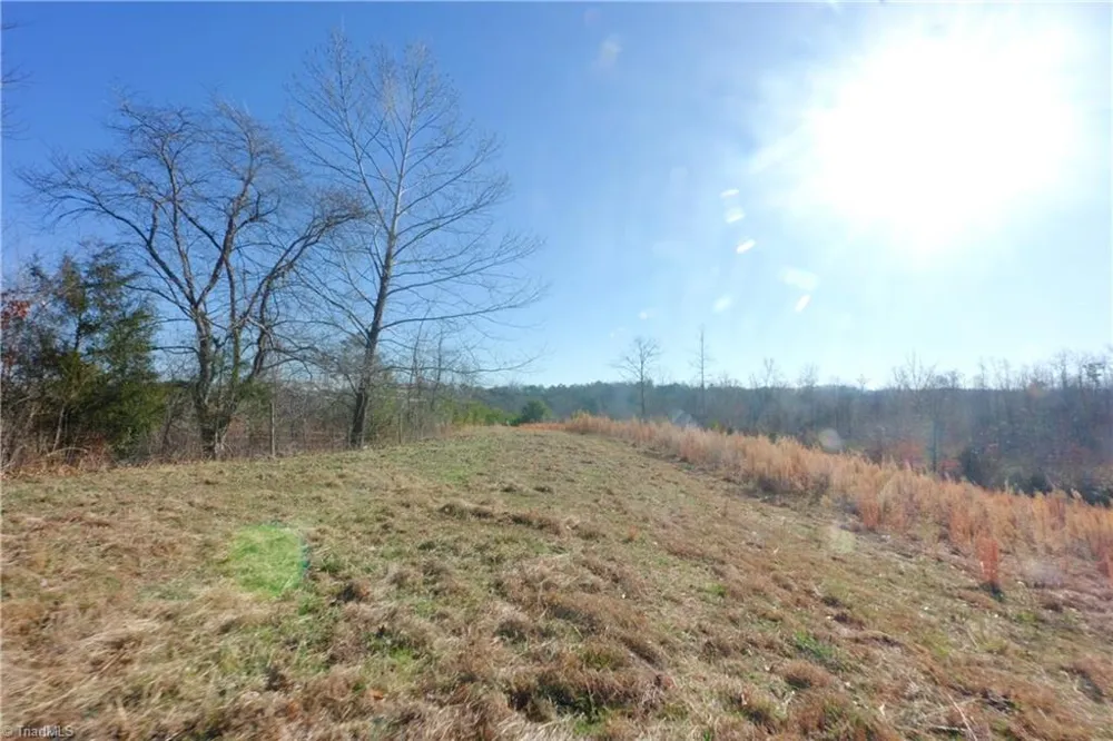 3 Roby Fulk Road Pinnacle, NC 27043