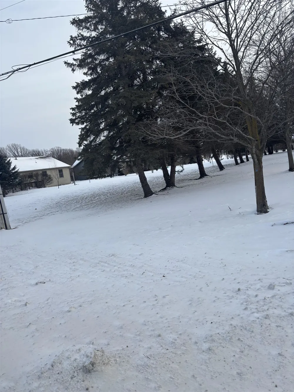 2135 E Pickard Road Union Charter Township, MI 48858