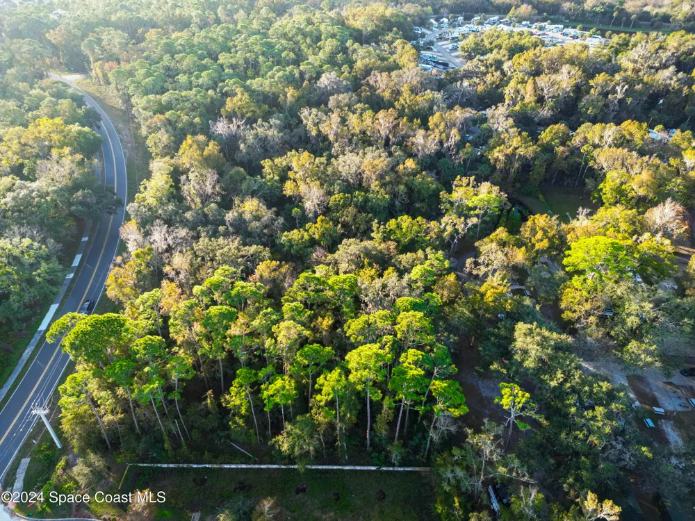 Hammock Trail Mims, FL 32754