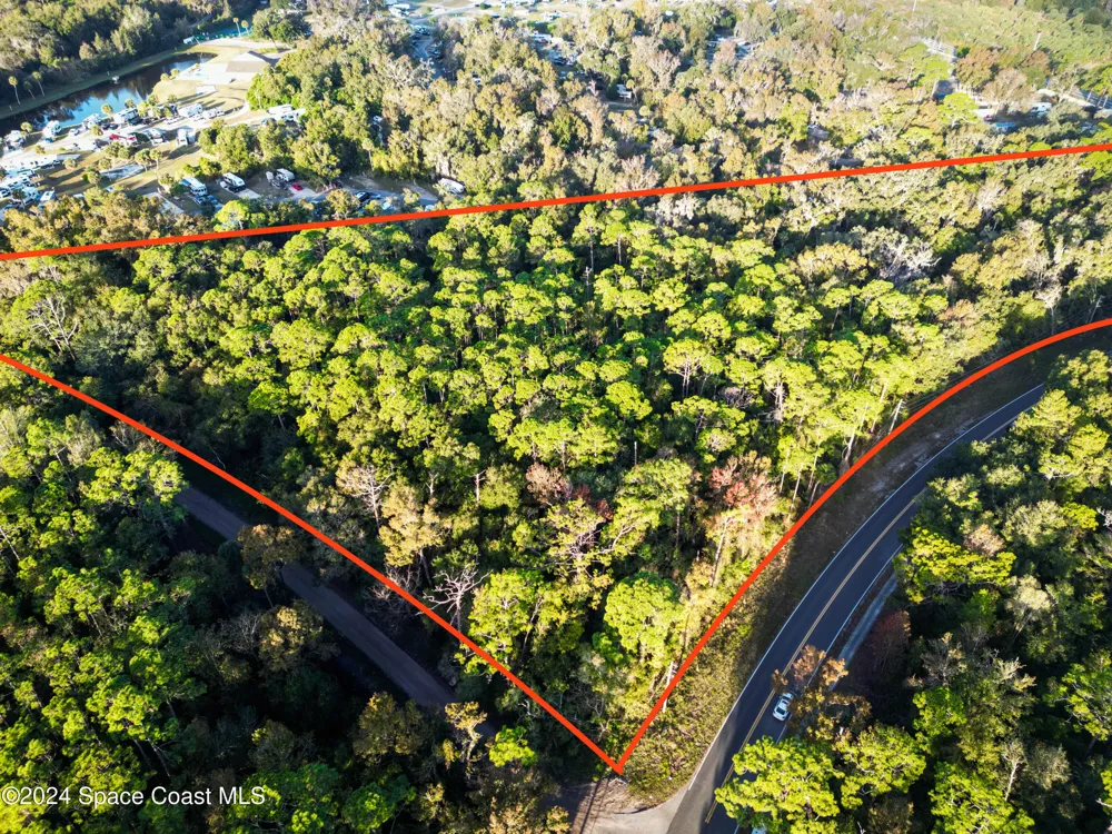 Hammock Trail Mims, FL 32754