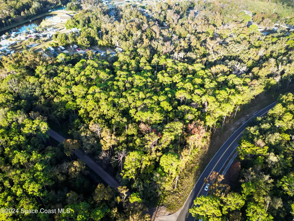 Hammock Trail Mims, FL 32754
