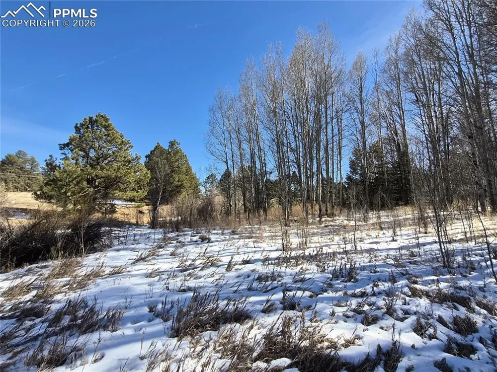 38340 Highway 24 Lake George, CO 80827