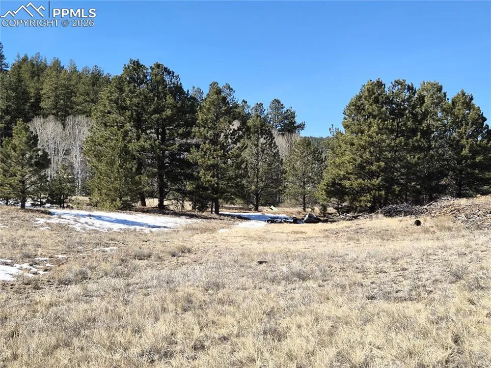 38340 Highway 24 Lake George, CO 80827