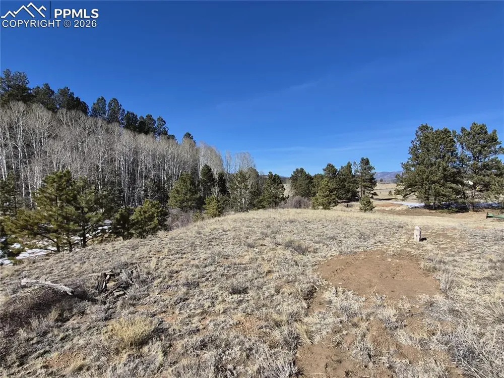 38340 Highway 24 Lake George, CO 80827