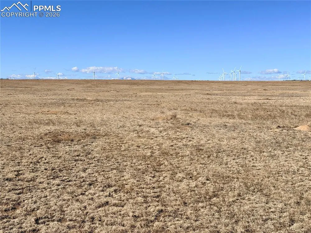 9320 Mulberry Road Calhan, CO 80808
