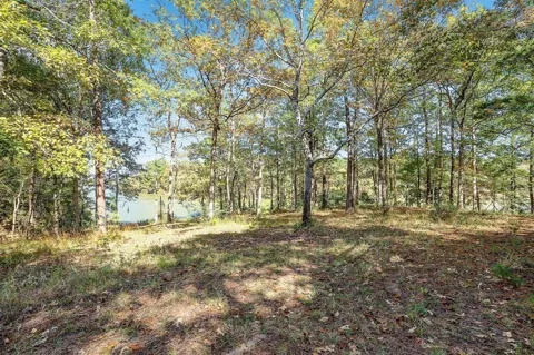 14948 Lot 10-11 Colt Lane