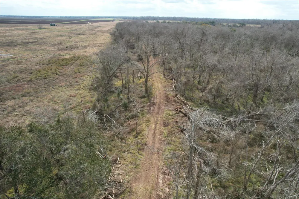 Redwood St Rosharon, TX 77583