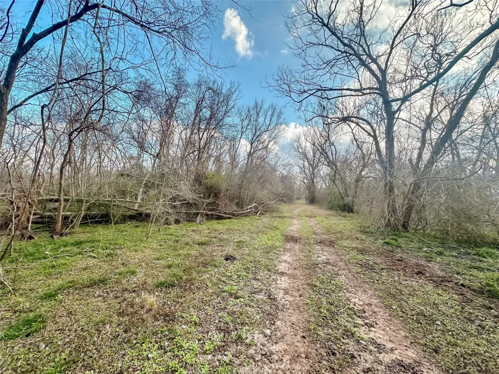 Redwood St Rosharon, TX 77583