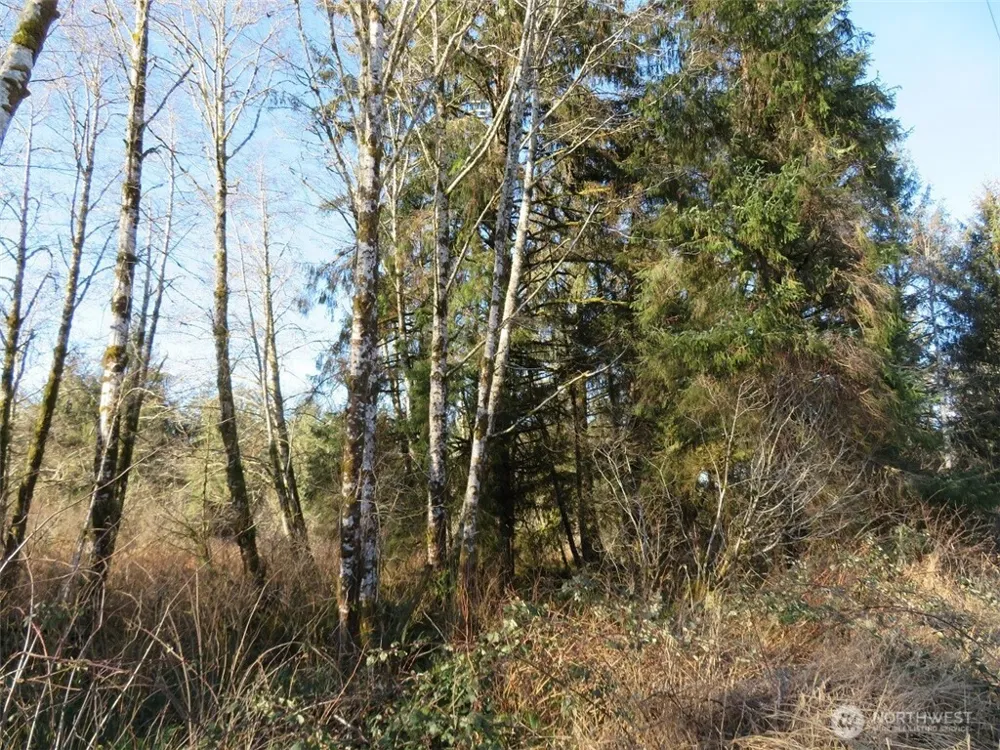 1478 XXX E Hoquiam Road Hoquiam, WA 98550