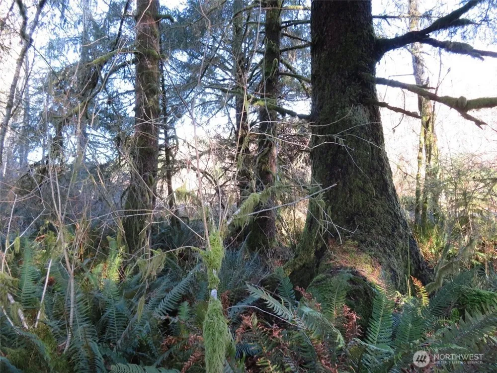 1478 XXX E Hoquiam Road Hoquiam, WA 98550