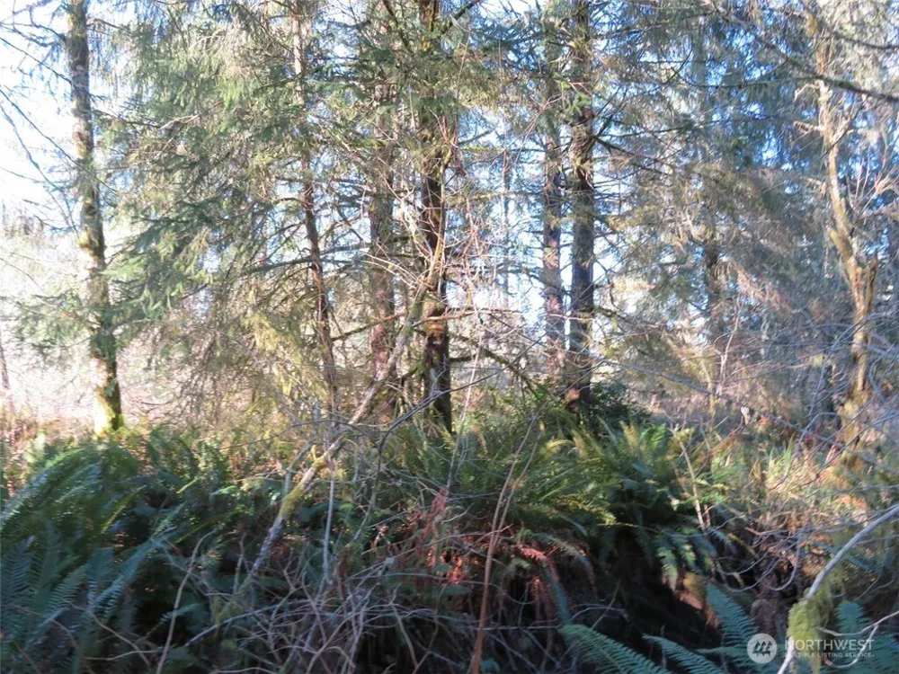 1478 XXX E Hoquiam Road Hoquiam, WA 98550