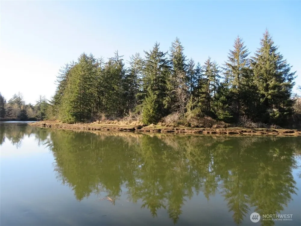 1478 XXX E Hoquiam Road Hoquiam, WA 98550